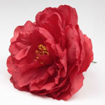 Peonia Sanlucar Fleurs flamenco. 12cm. Rouge